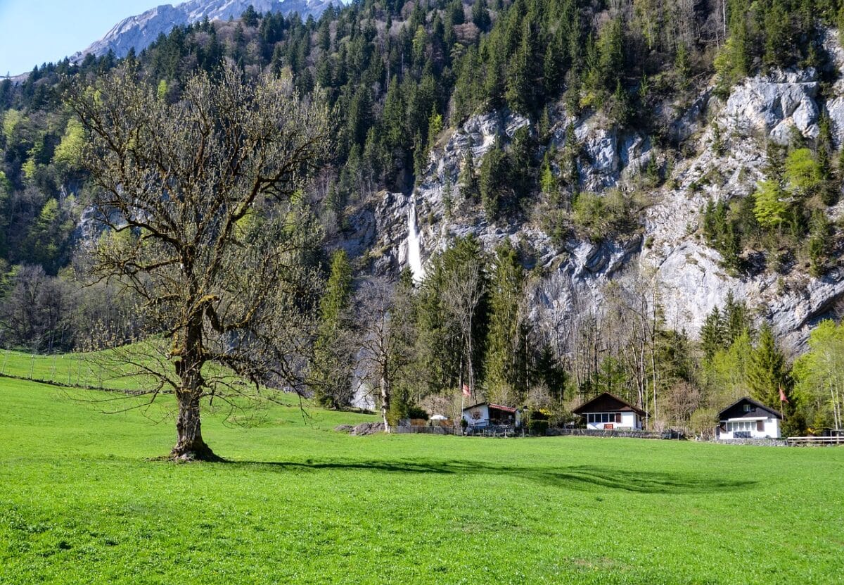 Investir dans un terrain non constructible opportunités et défis