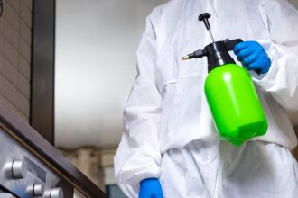 Quel traitement anti-termites un professionnel recommande-t-il selon le niveau d’infestation ?